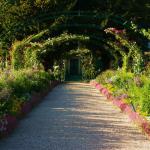 Monet's Garden - The Grande Alle